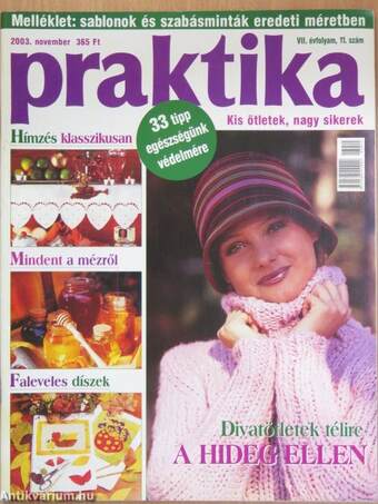 Praktika 2003. november