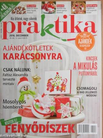 Praktika 2016. december