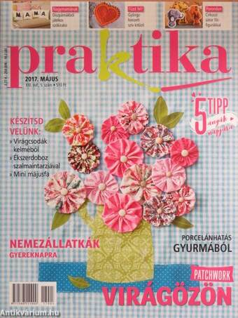 Praktika 2017. május