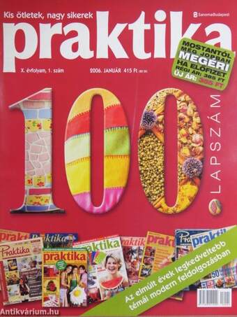 Praktika 2006. január