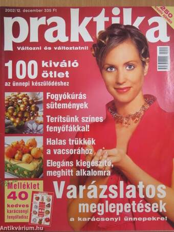 Praktika 2002. december