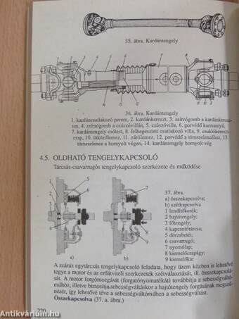 Természettudományi összefoglaló