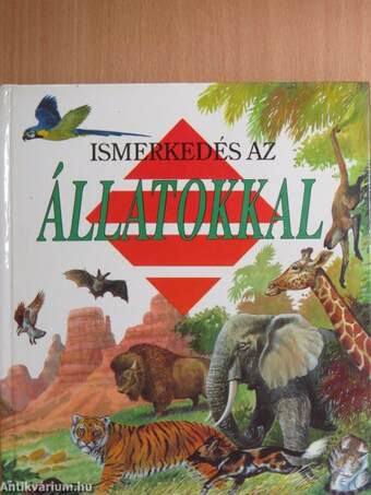 Ismerkedés az állatokkal