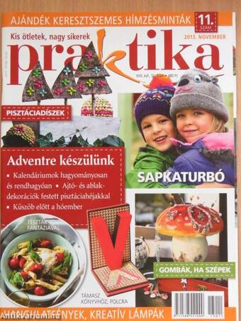 Praktika 2013. november