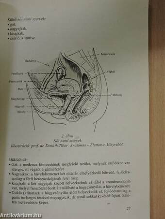 Lányoknak, fiúknak - egymásról