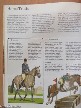 The Usborne Guide to Riding & Pony Care