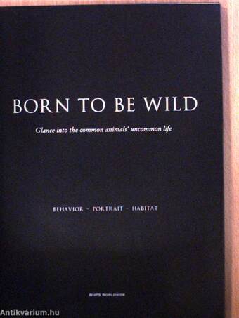 Born to be Wild