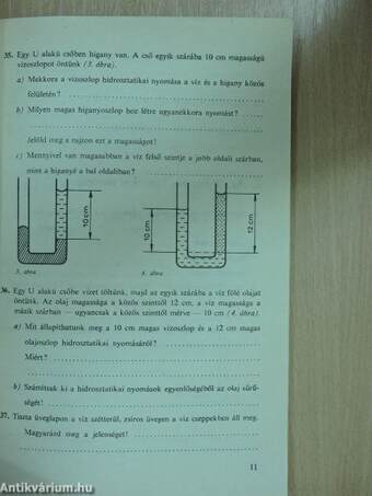 Fizika munkafüzet és feladatlap II.