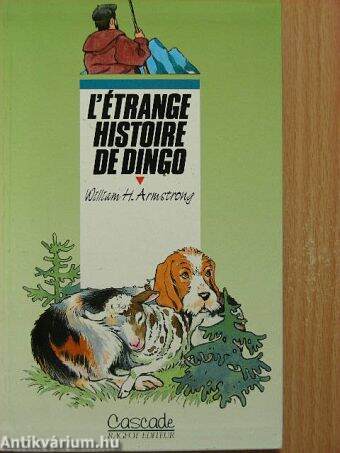 L'étrange histoire de Dingo