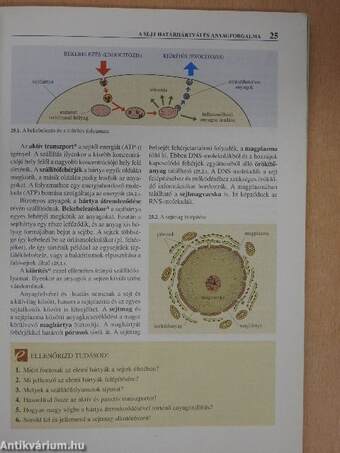 Biológia 10.