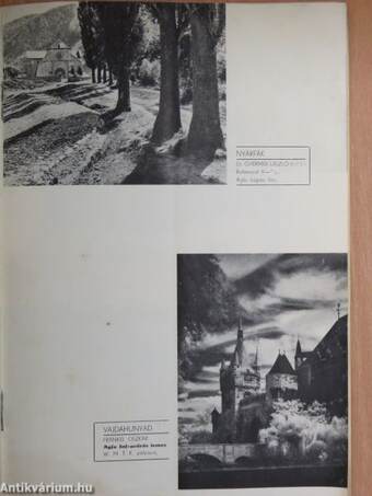 Fotoszemle 1940. november 1.