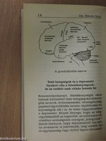 Mindennapi memóriánk