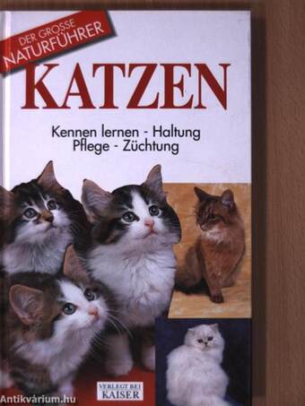 Katzen