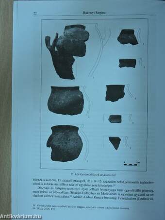 Castrum 2013/1-2.