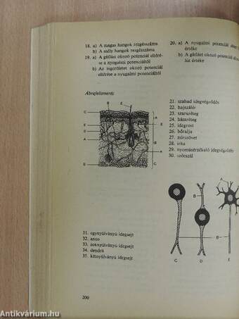 Biológiai feladatgyűjtemény a gimnáziumok számára