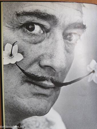 Dalí - A festői életmű