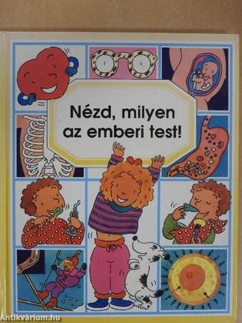 Nézd, milyen az emberi test!