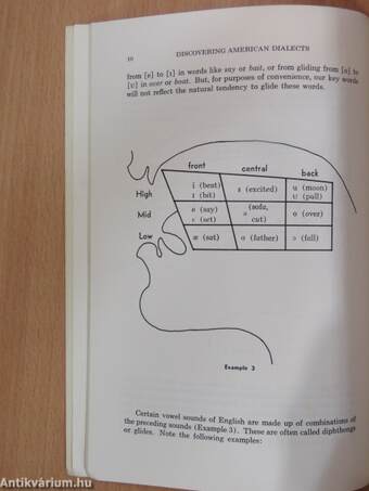 Discovering American Dialects