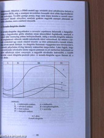 Bevezetés a stratégiai menedzsmentbe