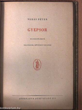 Gyepsor