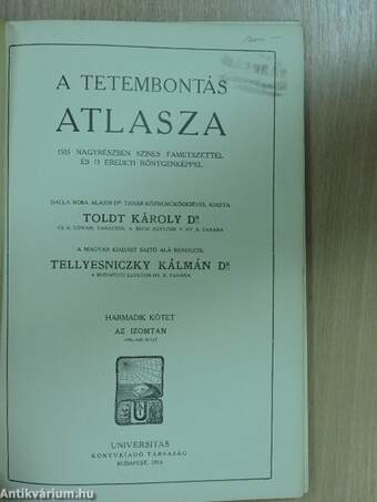 Toldt - A tetembontás atlasza III.