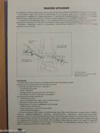 Fejezetek a felnőttkori ortopédia gyakorlatából