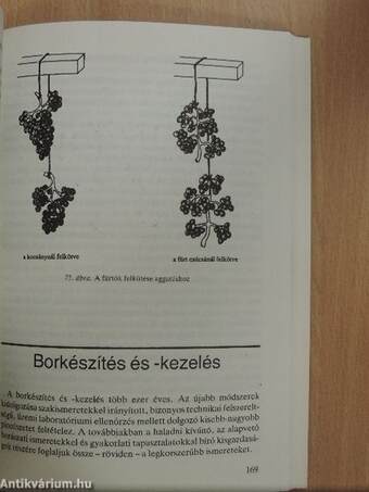 Szőlőművelés, borkészítés