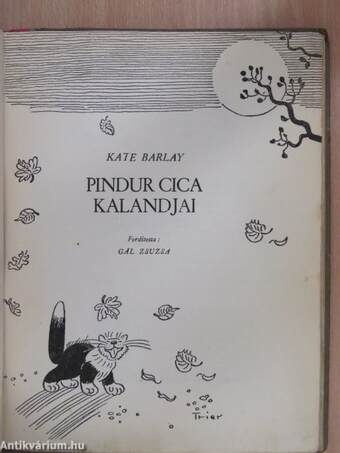 Pindur cica kalandjai