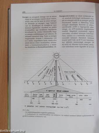 A növények élete I-II.