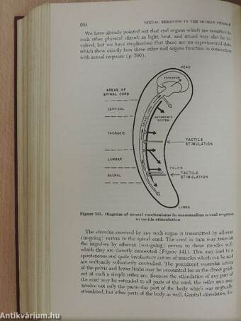 Sexual Behavior in the Human Female