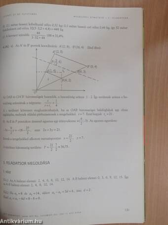 A kétszintű matematika érettségi próbaérettségi nagykönyve