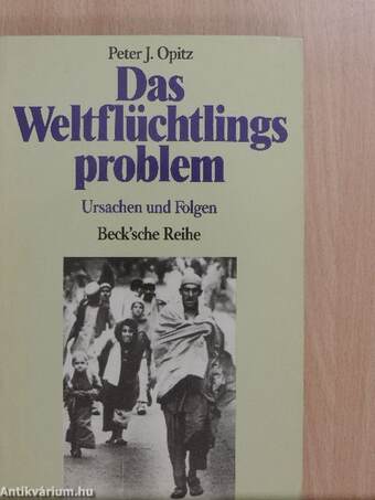 Das Weltflüchtlingsproblem