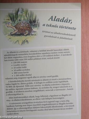 Aladár, a teknős története