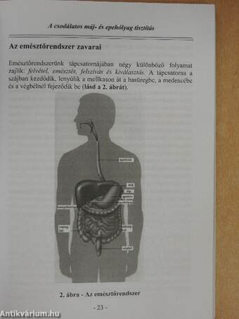 A csodálatos máj- és epehólyag tisztítás