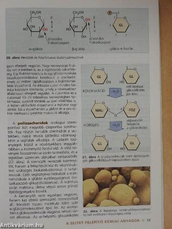 Biológia 11.