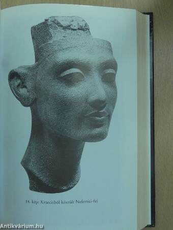 Nefertiti