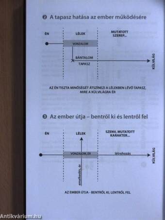 A megértés táblázata - A magyarázat