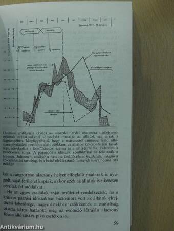 Rejtett dimenziók