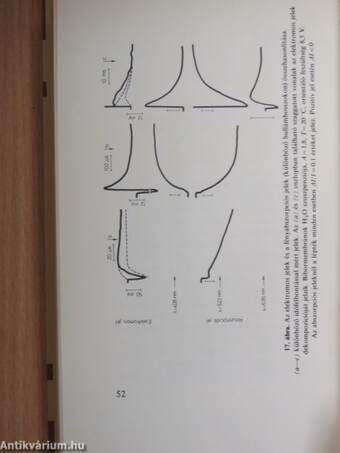 Fehérjék és elektromos jelenségek