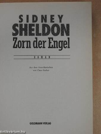 Zorn der Engel