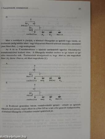 Bevezetés a magyar generatív mondatelemzésbe