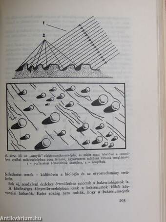 Mindentudó elektron