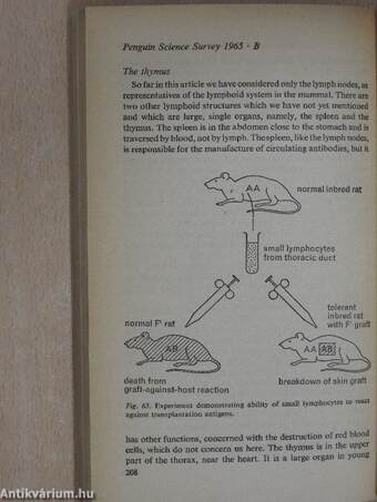 Penguin Science Survey 1965 B