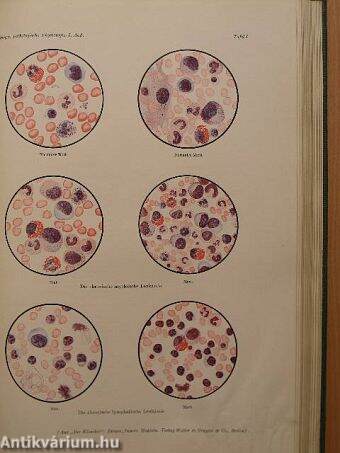 Einführung in die Pathologische Physiologie