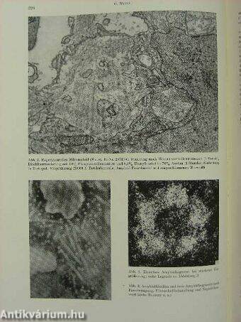 Die Heutige Stellung Der Morphologie in Biologie und Medizin