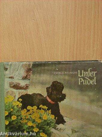 Unser Pudel