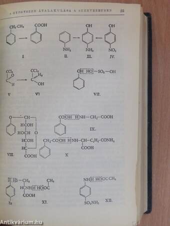 Gyógyszertan és gyógyítás I.