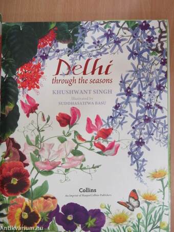 Delhi through the seasons