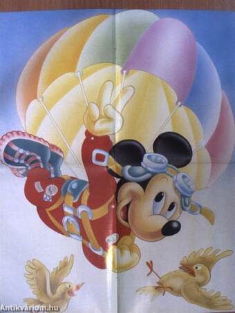 Mickey Mouse 1991/3.