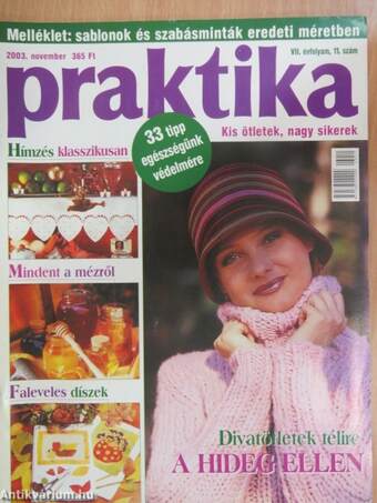 Praktika 2003. november